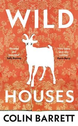 Wild Houses_Book Jacket.jpg