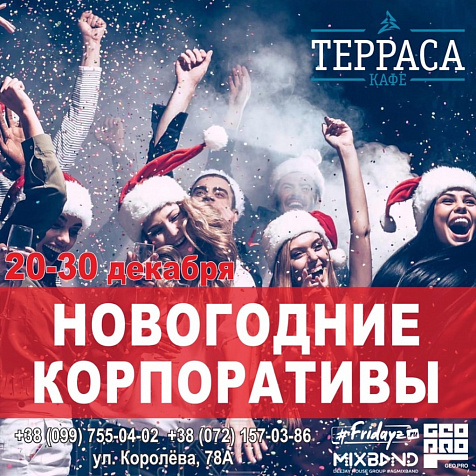 Новогодние корпоративы в кафе Терраса