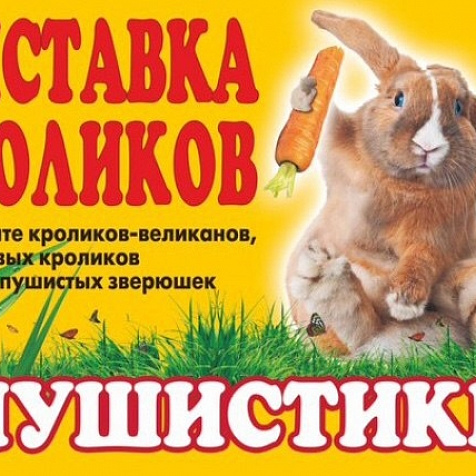 Выставка кроликов «Пушистики»