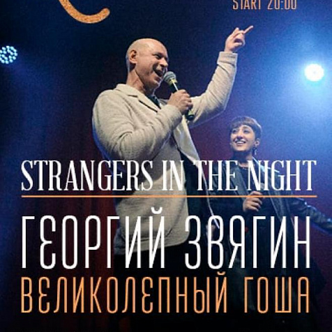 Strangers in the night