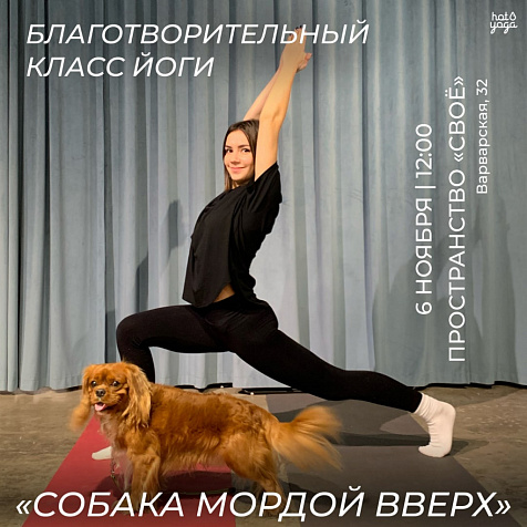 Благотворительный класс «Собака мордой вверх!»