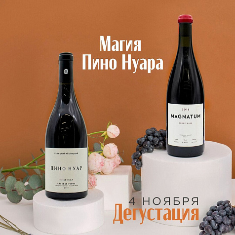 Дегустация "Магия Пино Нуара"
