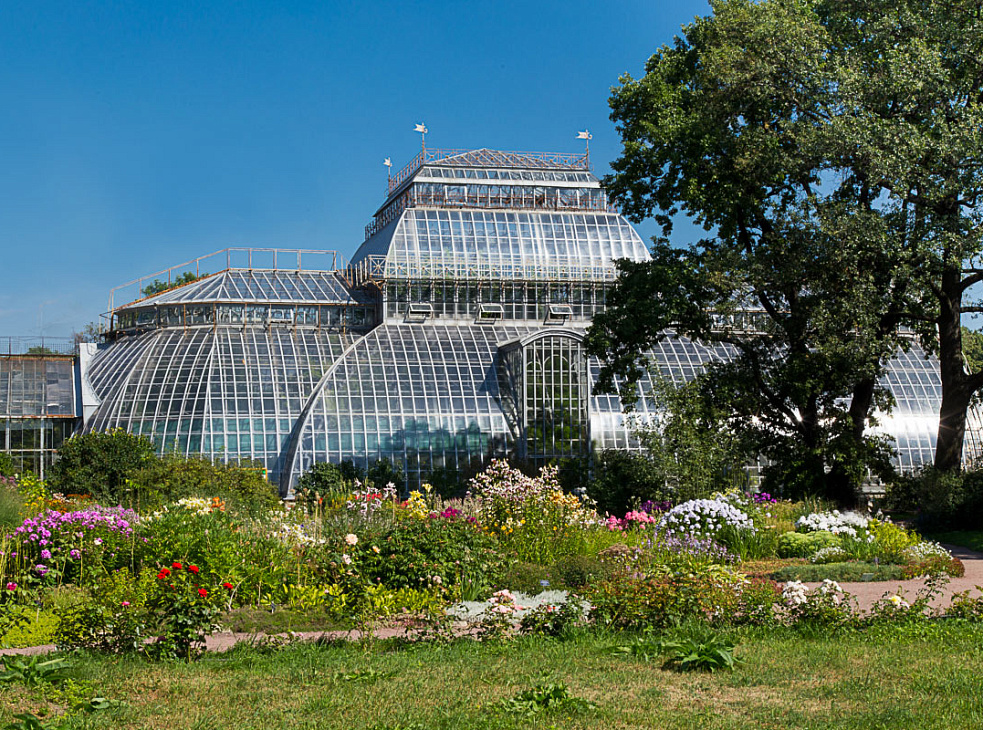Ботанический сад Петра Великого - Санкт-Петербург: фотоотчеты, события, как добраться