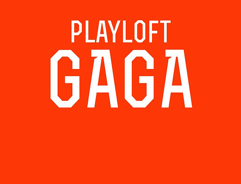 Playloft GaGa
