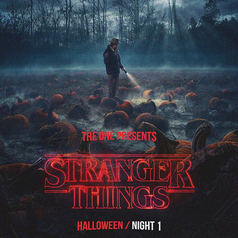 STRANGER THINGS / HALLOWEEN NIGHT 1